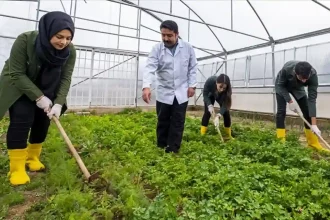 Tarım Lisesi