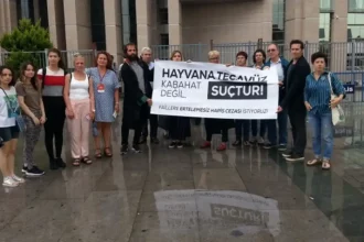 Hayvana Cinsel Saldırı