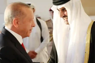 Recep Tayyip Erdoğan - Şeyh Temim Bin Hamed El Sani