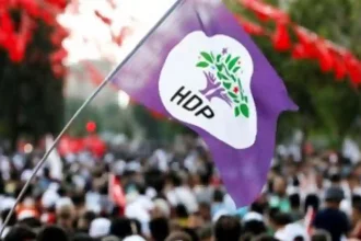 HDP Seçmeni