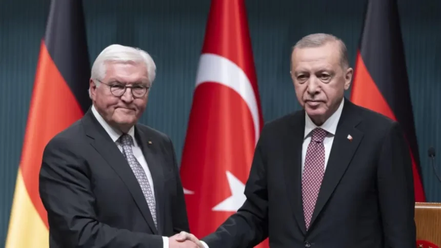 Steinmeier - Erdoğan