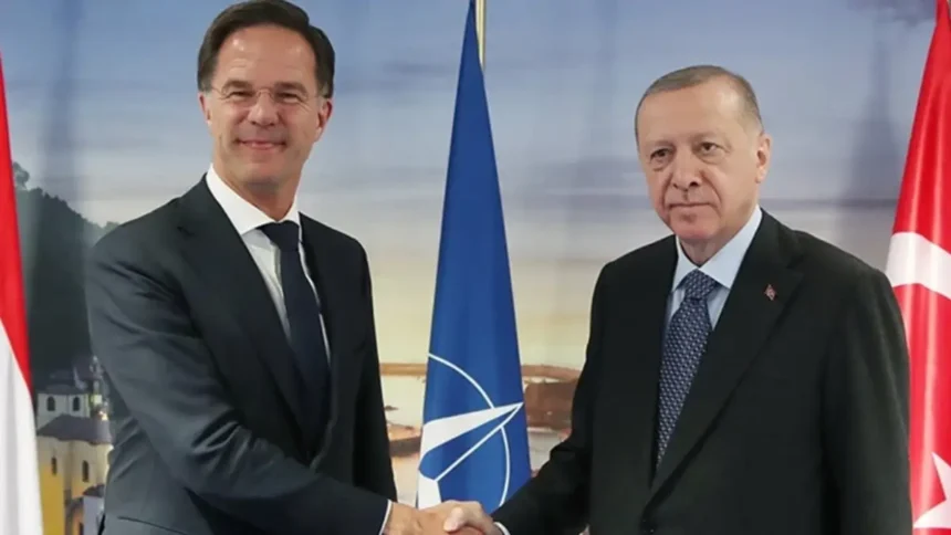 Mark Rutte - Recep Tayyip Erdoğan